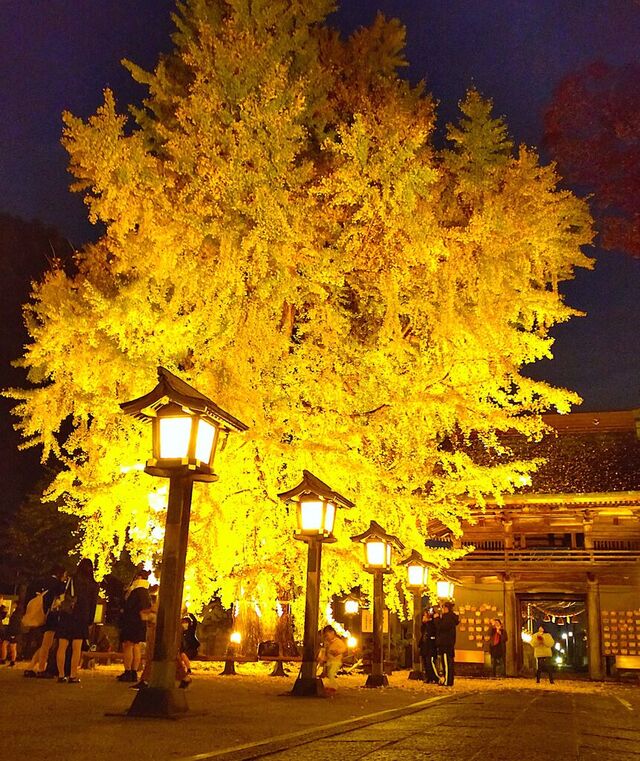 今宮神社