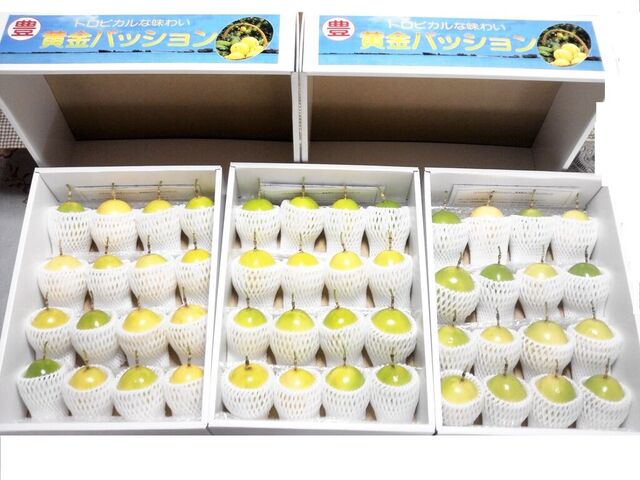 亜熱帯農業開発センター