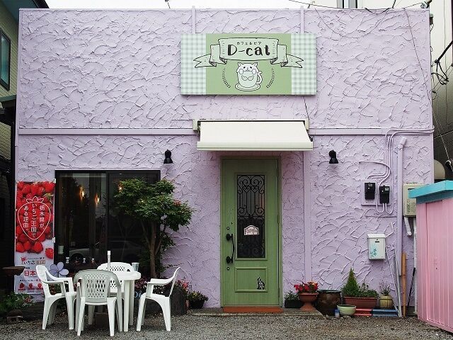 Cafe&beer D-cat