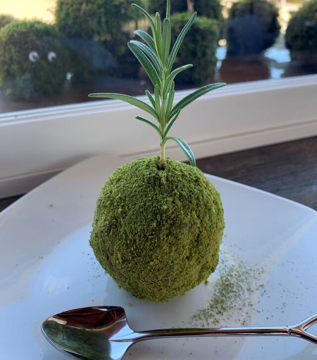 Bonsai Cafe