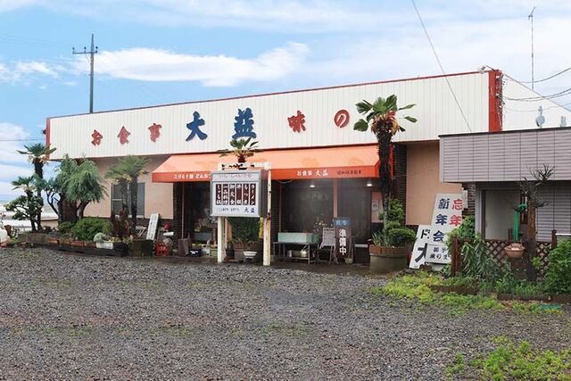 大益