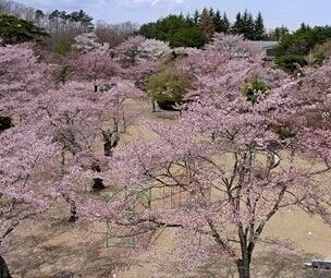 馬頭公園