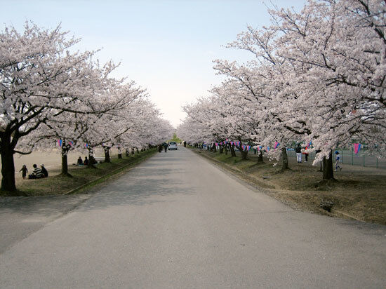 藤岡渡良瀬運動公園
