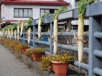 蓬莱橋