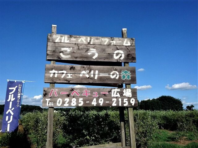 ブルーベリーファームごうの