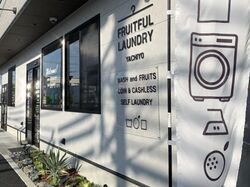 FRUITFUL LAUNDRY