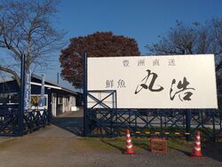 鮮魚 丸浩