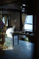 Gallery & Daily shop TUTO