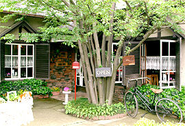 Caferi Fuji