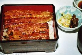 うなぎ なか田
