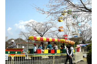 千手山公園さくら祭り 祭り 鹿沼市 栃ナビ 千手山公園さくら祭り 祭り 鹿沼市 栃ナビ