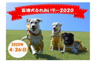 盲導犬ふれあいデー 福祉 介護 宇都宮市 栃ナビ 盲導犬ふれあいデー 福祉 介護 宇都宮市 栃ナビ