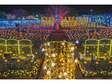 イルミネーションの数々 2