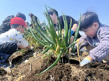 【親子体験】地元の農業もっと知ろう!なすしおばら農家探検隊2025