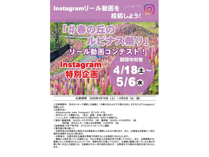 ↑リール動画コンテスト画像