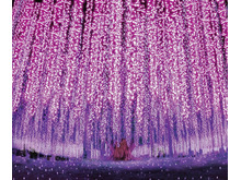 イルミネーションの数々  1