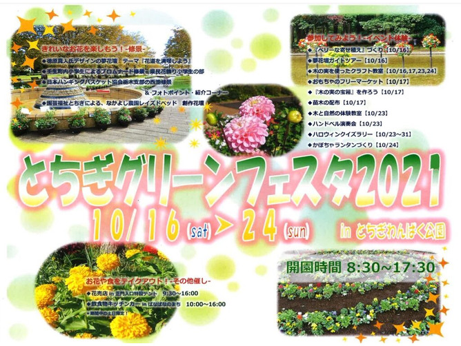 ニュース とちぎグリーンフェスタ21 とちぎわんぱく公園 花 壬生町 栃ナビ ニュース とちぎグリーンフェスタ21 とちぎわんぱく公園 花 壬生町 栃ナビ