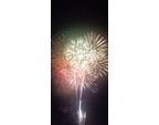 今年は花火に加...