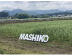 道の駅ましこか...