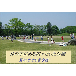 みずほの自然の森公園