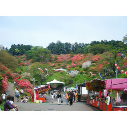 城山公園(鹿沼市)
