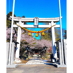 今宮神社