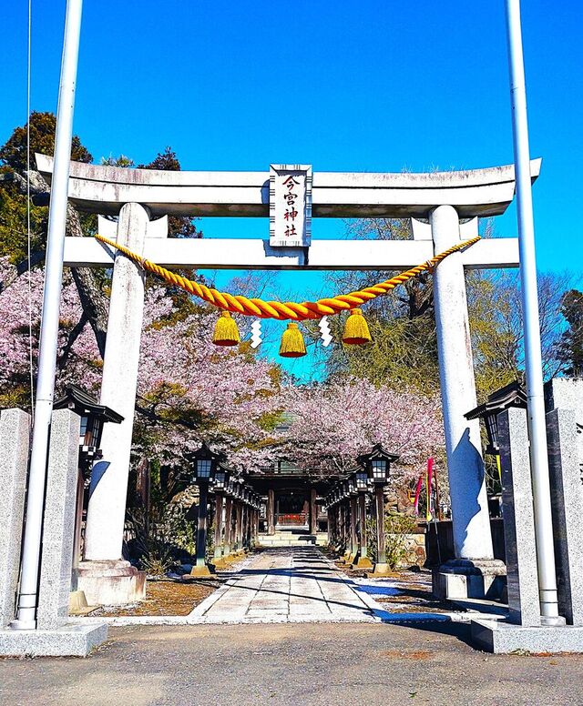 今宮神社