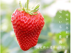 堀江いちご農園