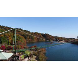 森林の駅/もみじ谷大吊橋
