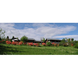 いわむらかずお 絵本の丘美術館 ティールーム