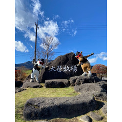 日光霧降高原 大笹牧場