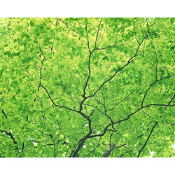 宇都宮 占い師 カオリ