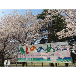 壬生町東雲公園