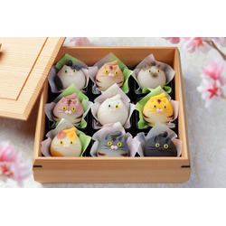 御菓子司 紅谷三宅
