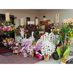 おりょうり 里のあかり