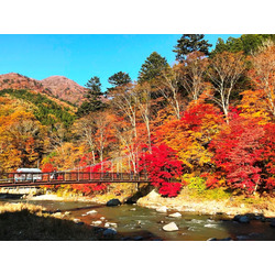 紅の吊橋