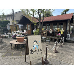 まぁむとんかふぇ