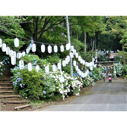 あじさい公園