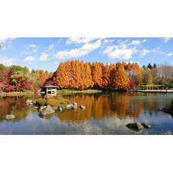 栃木県中央公園