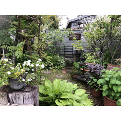 おしゃれな植物に囲まれて暮らしたい ガーデニング21選 栃ナビ おしゃれな植物に囲まれて暮らしたい ガーデニング21選 栃ナビ