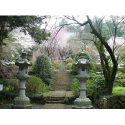 曹洞宗太平山大中寺