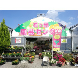 おしゃれな植物に囲まれて暮らしたい ガーデニング21選 栃ナビ おしゃれな植物に囲まれて暮らしたい ガーデニング21選 栃ナビ