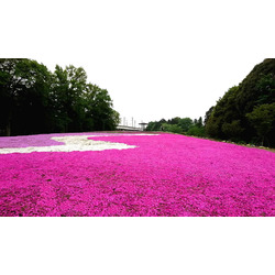 若の原農村公園