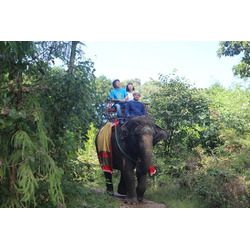 那須ワールドモンキーパーク