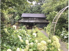 納屋珈琲ひなた