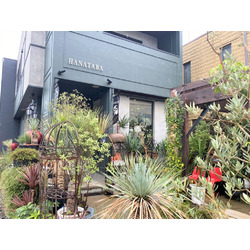 HANATABA Inc.Flower/Plants