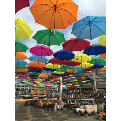 鹿沼市花木センター