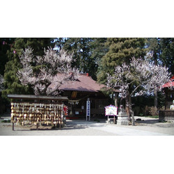 学問の神様 天満宮