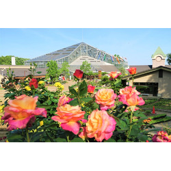 とちぎ花センター