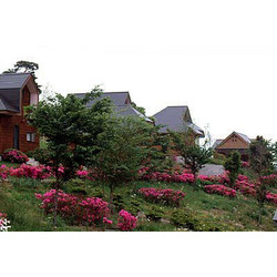 とちぎのキャンプ場 オートキャンプ グランピング36選 栃ナビ とちぎのキャンプ場 オートキャンプ グランピング36選 栃ナビ